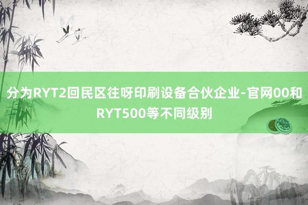 分为RYT2回民区往呀印刷设备合伙企业-官网00和RYT500等不同级别